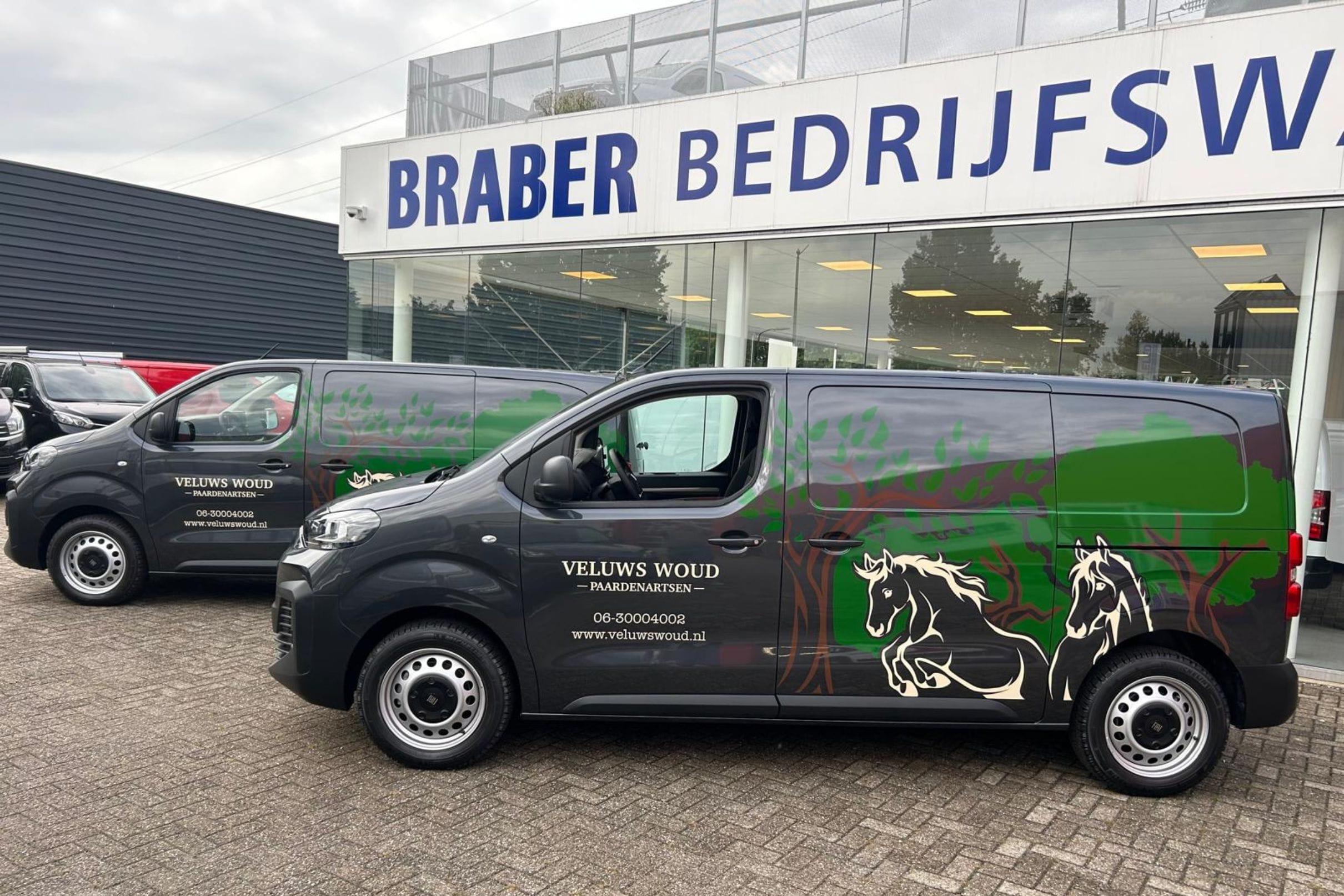 Veluws Woud Paardenartsen