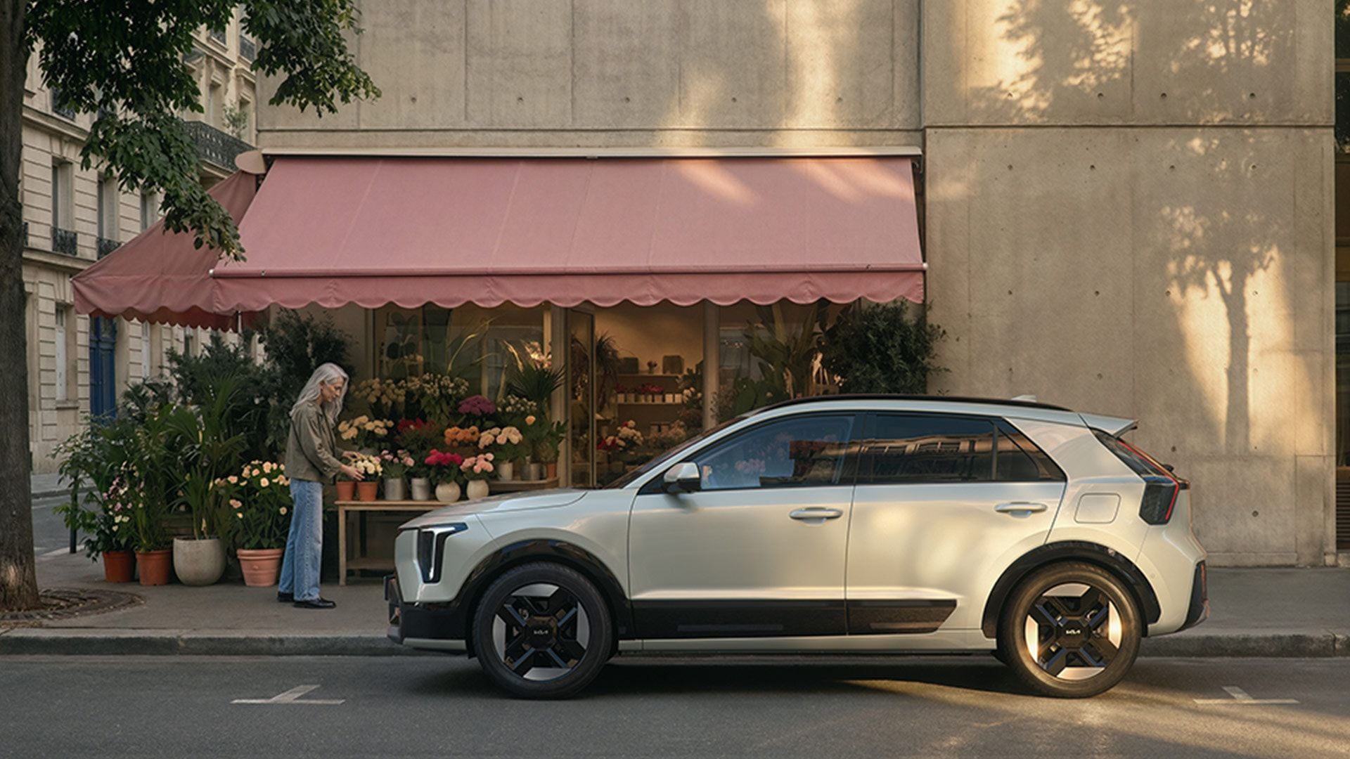 Kia Niro profiel